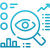 Compliance Auditing