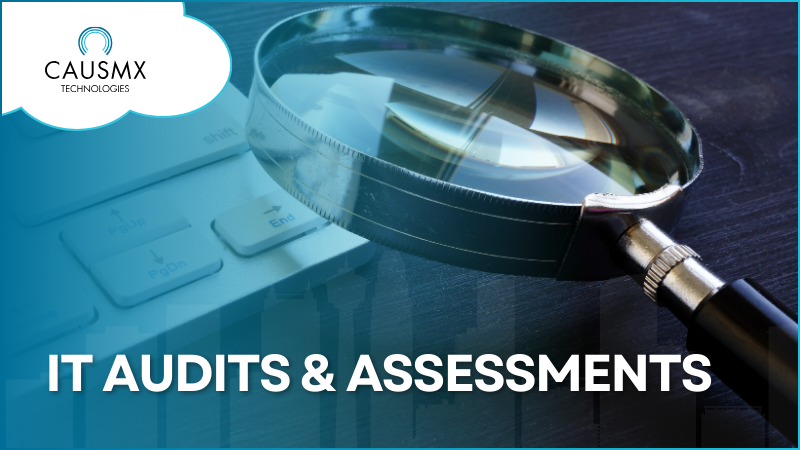 IT Audits &amp; Assessments