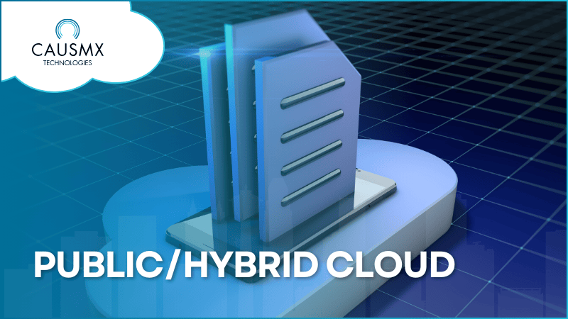 Public/Hybrid Cloud Services