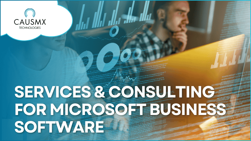 Services &amp; Consulting for Microsoft Business Software