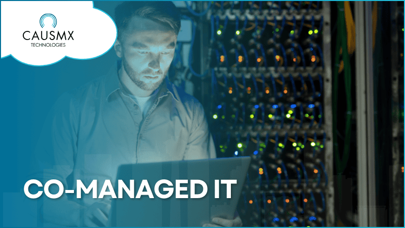 Co-Managed IT Services