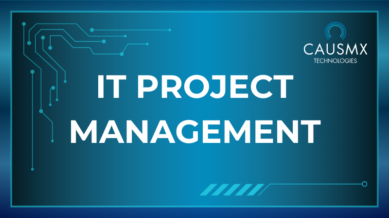 IT PROJECT MANAGEMENT