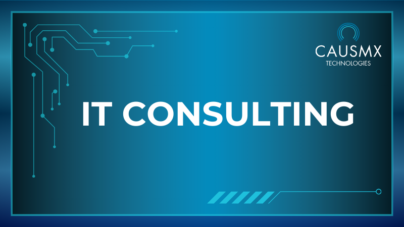 IT CONSULTING