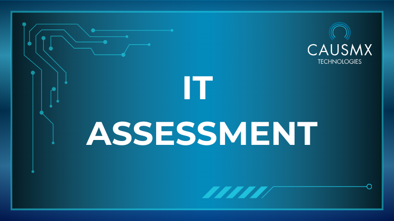 IT ASSESSMENT