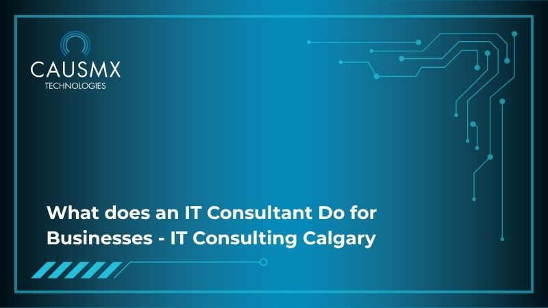 What does an IT Consultant Do for Businesses - IT Consulting Calgary