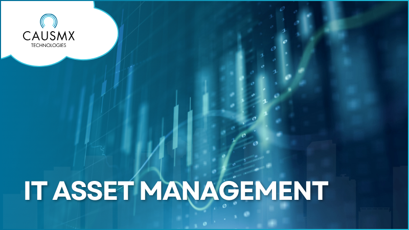IT Asset Management Services