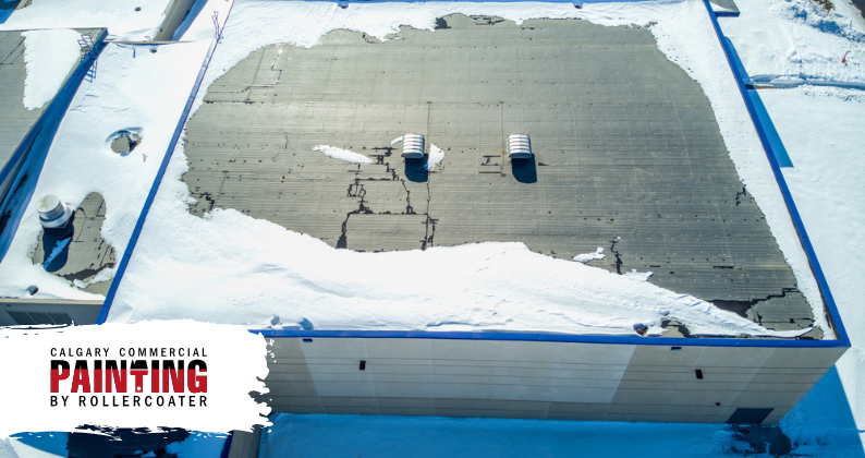 Commercial Exterior Painting in Calgary: Protecting Against Winter Damage 