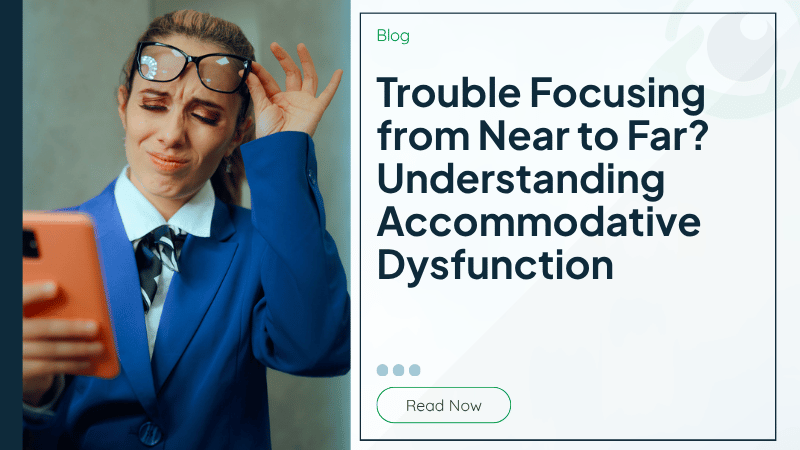Blog Summary