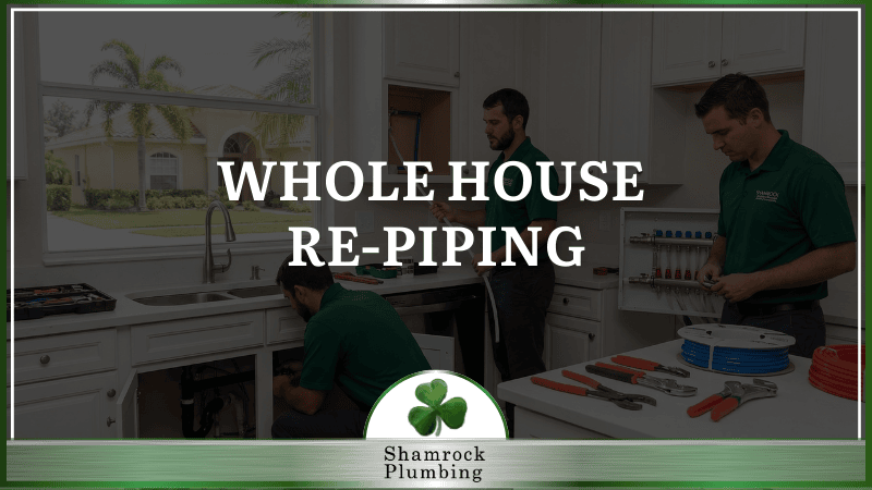 WHOLE HOUSE RE-PIPING