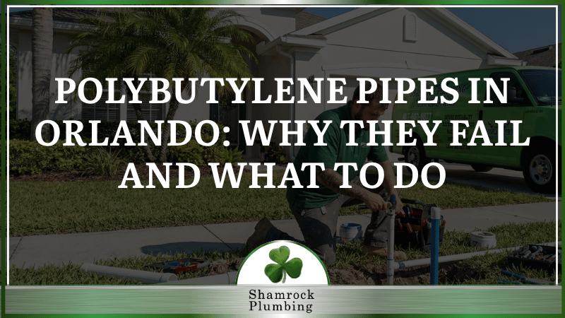 Polybutylene Pipes in Orlando: Why They Fail and What to Do Next
