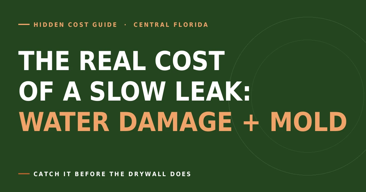 True cost of water damage and mold from old pipes