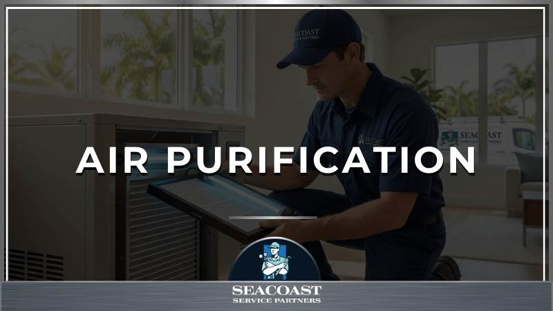 Air Purification Systems