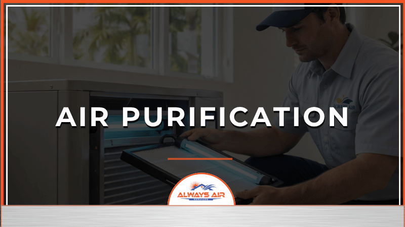 Air Purification Systems