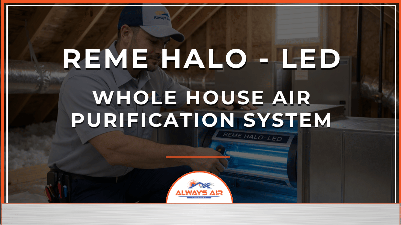 REME Halo - LED Whole House Air Purification System