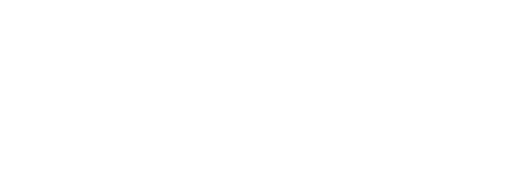 Critical Energy Infrastructure Services 