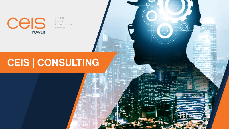 CEIS | CONSULTING