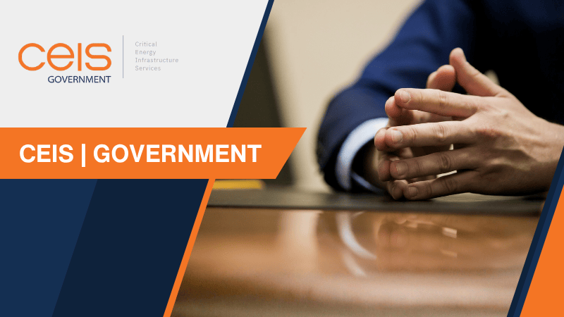 CEIS | GOVERNMENT