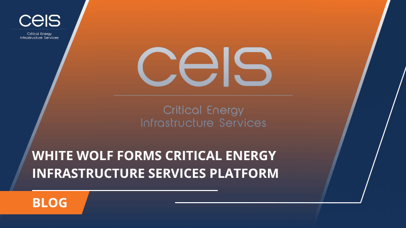 White Wolf forms Critical Energy Infrastructure Services Platform