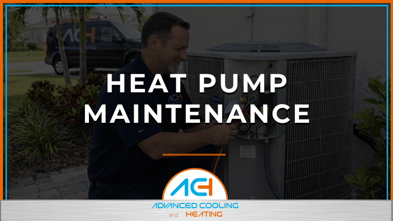 Summary Content