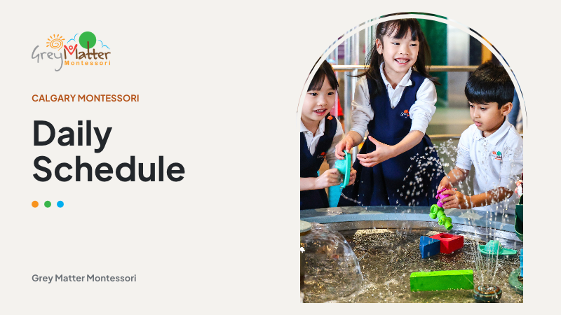 Daily Schedule