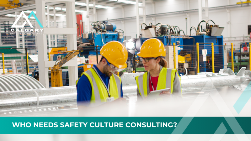Who Needs Safety Culture Consulting?