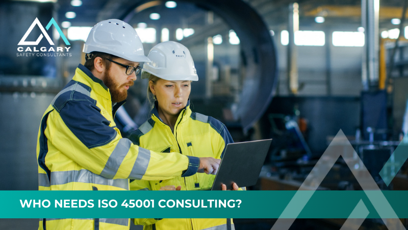Who Needs ISO 45001 Consulting