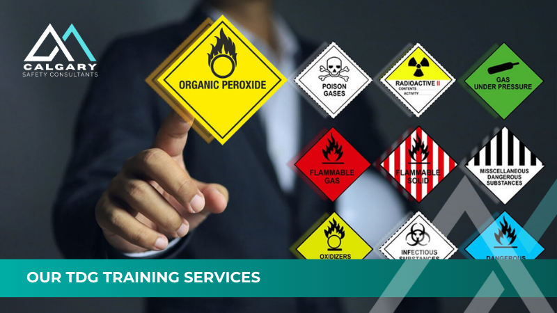 Our TDG Training Services