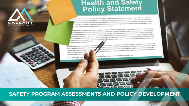 Safety Program Assessments and Policy Development
