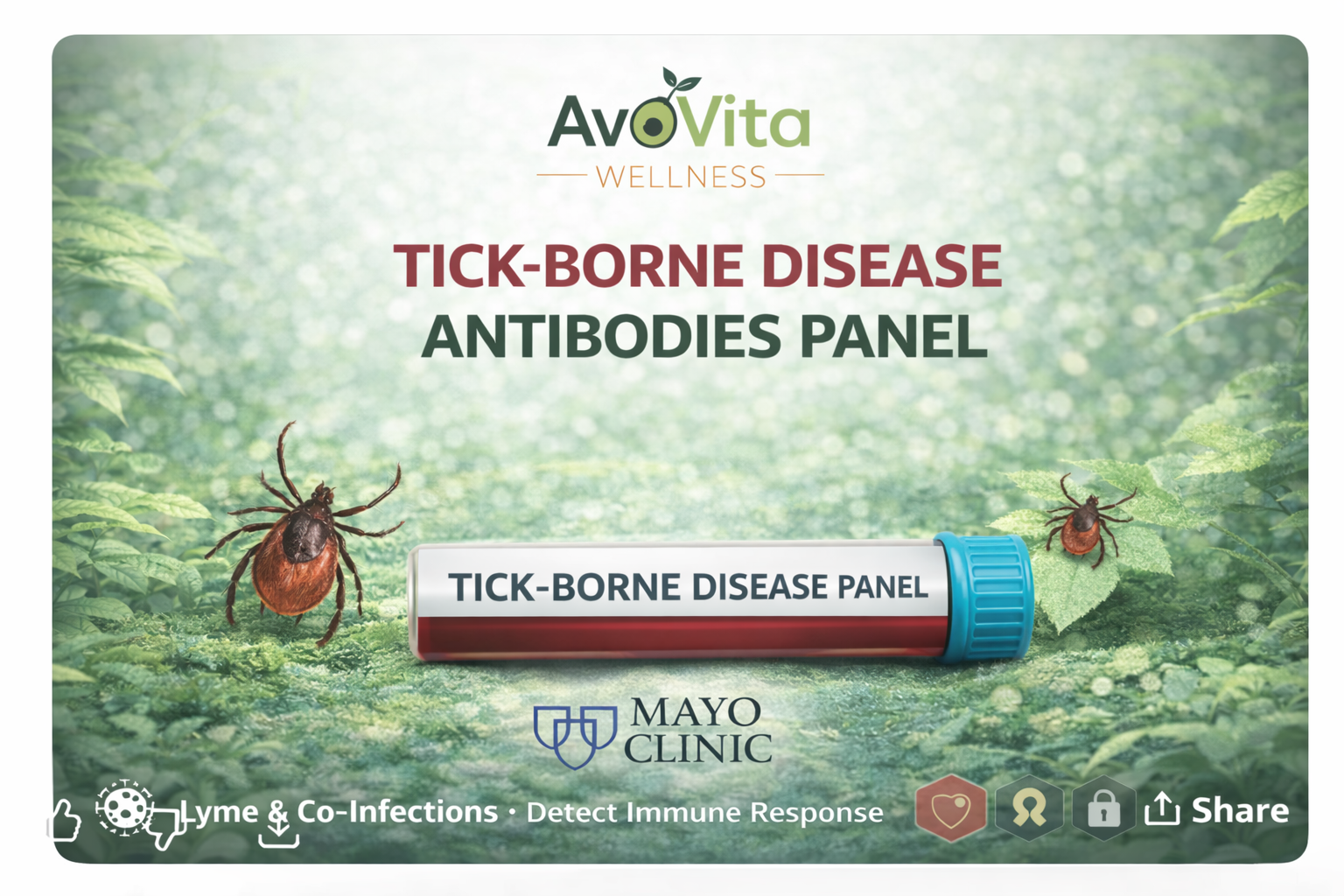 Private Tick-Borne & Lyme Disease Testing Calgary | AvoVita