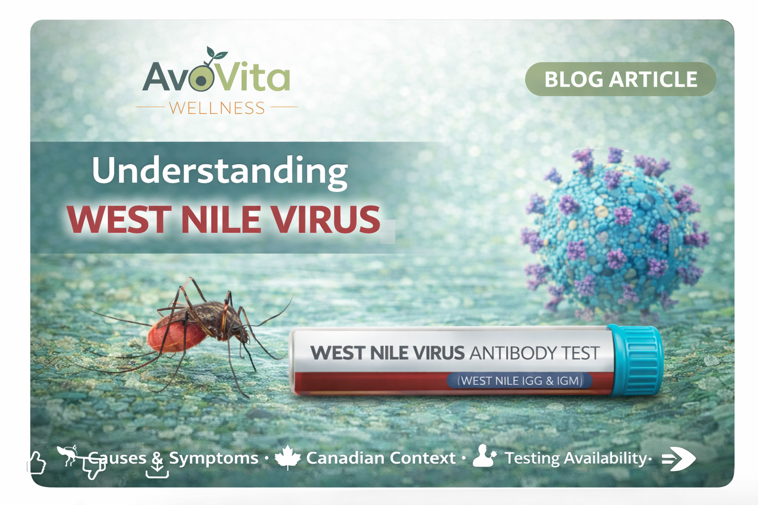 Understanding West Nile Virus