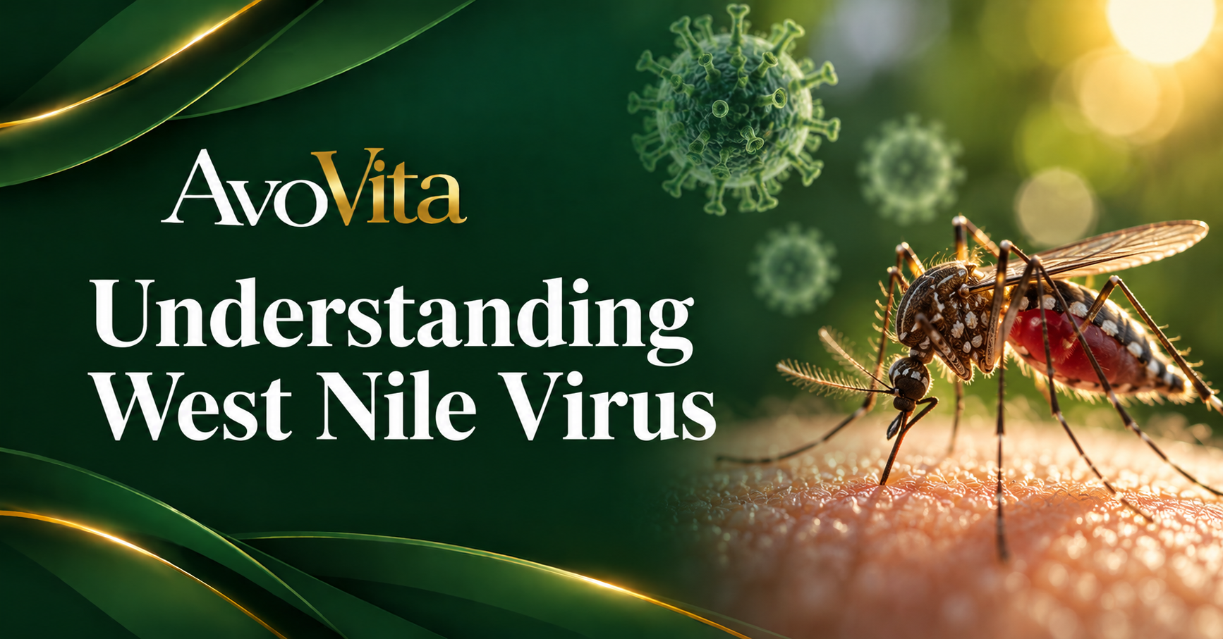 Understanding West Nile Virus