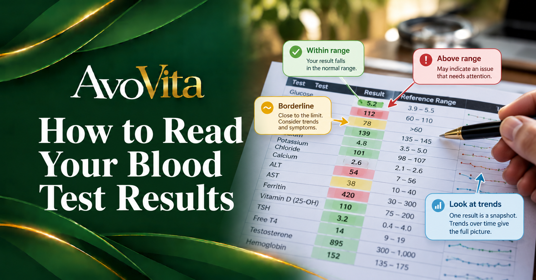 How to Read Your Blood Test Results